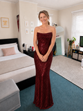 Elegant Sleeveless Sequined Evening Dress