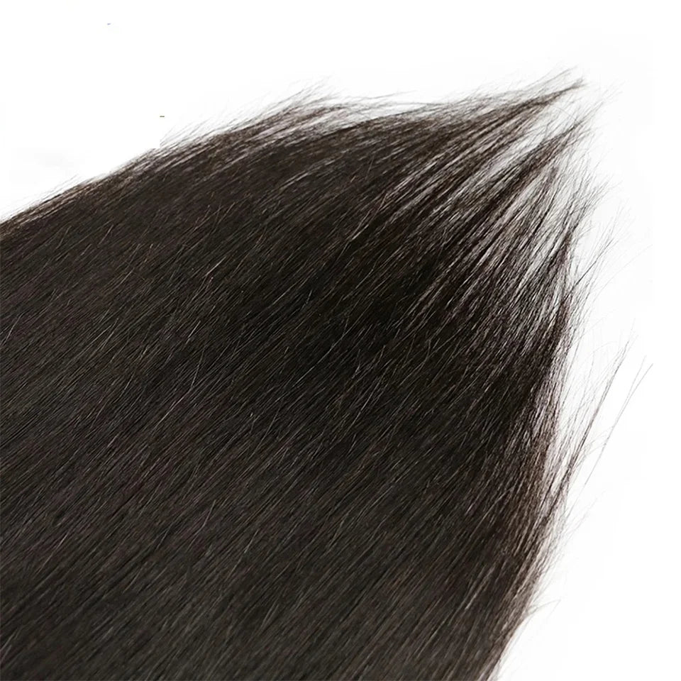 Human Hair Clip Extensions